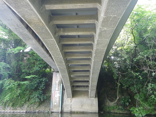 画像7：橋下右岸側1