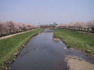 黒目川