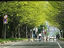 Hokkaido University