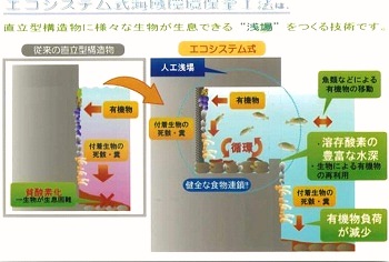 エコシステム式海域環境保全工法