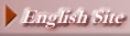 English Site