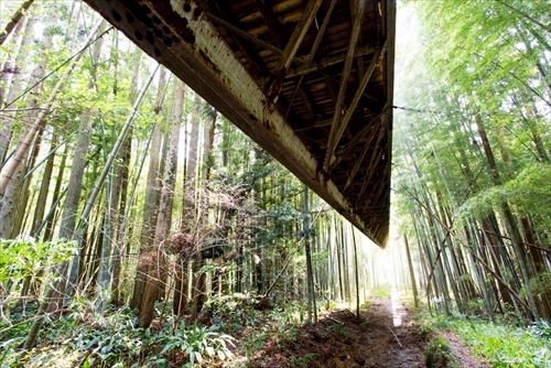 『天翔ける』の写真