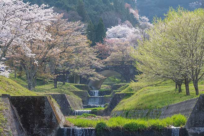 『春霞のアーチ橋』の写真