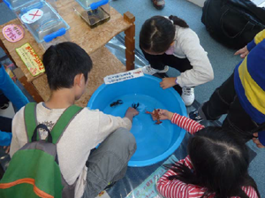 画像：川に住む生き物とのふれあい