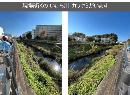 画像：現場近くの いたち川 カワセミがいます