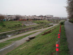 利根運河