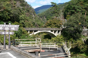 全景