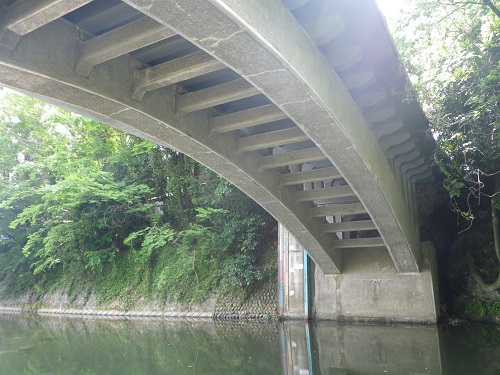 画像8：橋下右岸側2