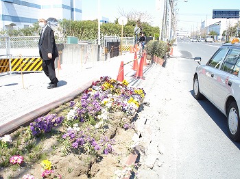 浦安市舞浜（歩道隆起）