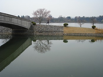 茨城県水戸市3（千波湖芳流橋護岸）