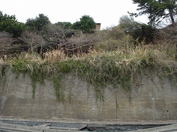 茨城県ひたちなか市那珂湊港9