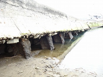 茨城県ひたちなか市那珂湊港32（護岸崩れ）