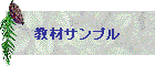 ރTv