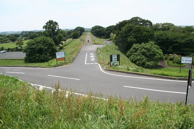 荒川横堤