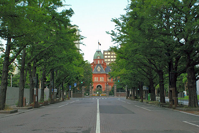 道庁正門前木塊舗装・銀杏並木