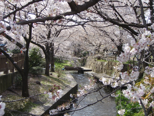 二ヶ領用水