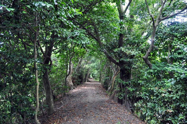 安長土手（嵐ヶ鼻土手）