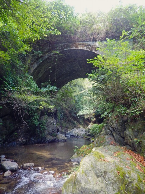 春日野道 桜橋