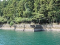 深浦水雷艇隊基地跡