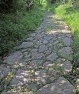 山陰道の石畳―駟馳山峠、蒲生峠