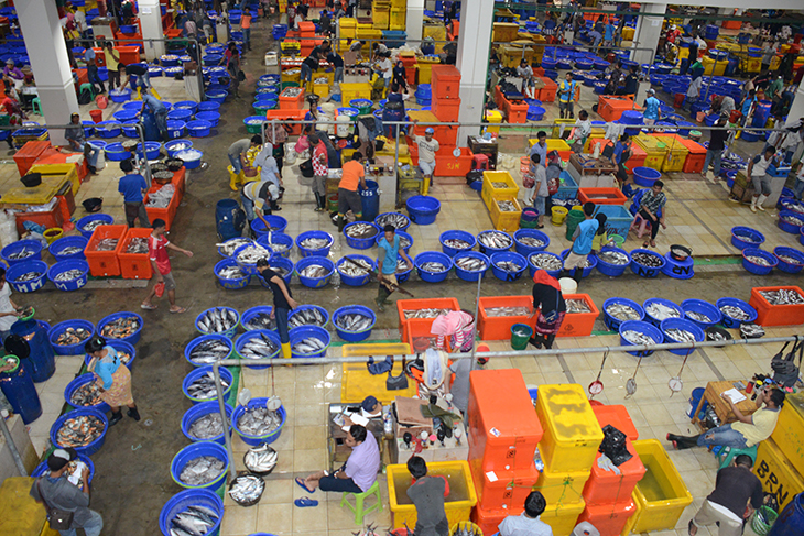 New Fish Wholesale Market Opened in February 2019