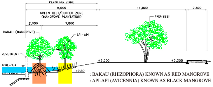 Mangrove Revetment of JFP