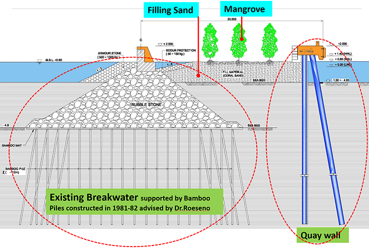 Mangrove Breakwater of JFP