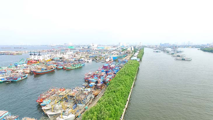 Mangrove Breakwater and Revetment of JFP