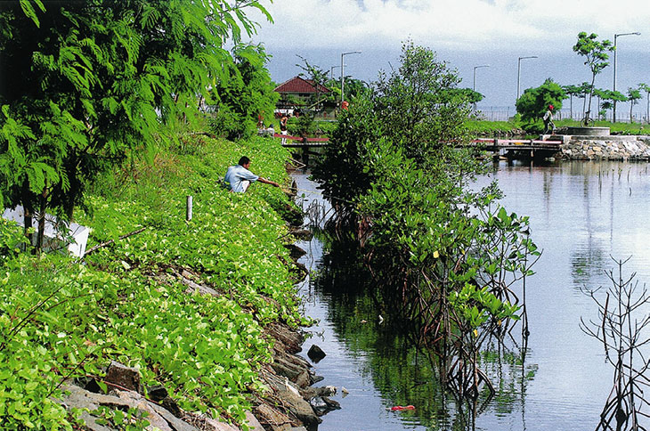 Photo 5: Channel from the inlet to the reservoir