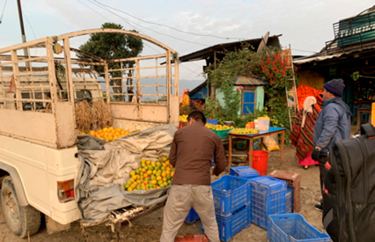 Junar (a Type of Orange) Shipped Along the Sindhuli Road