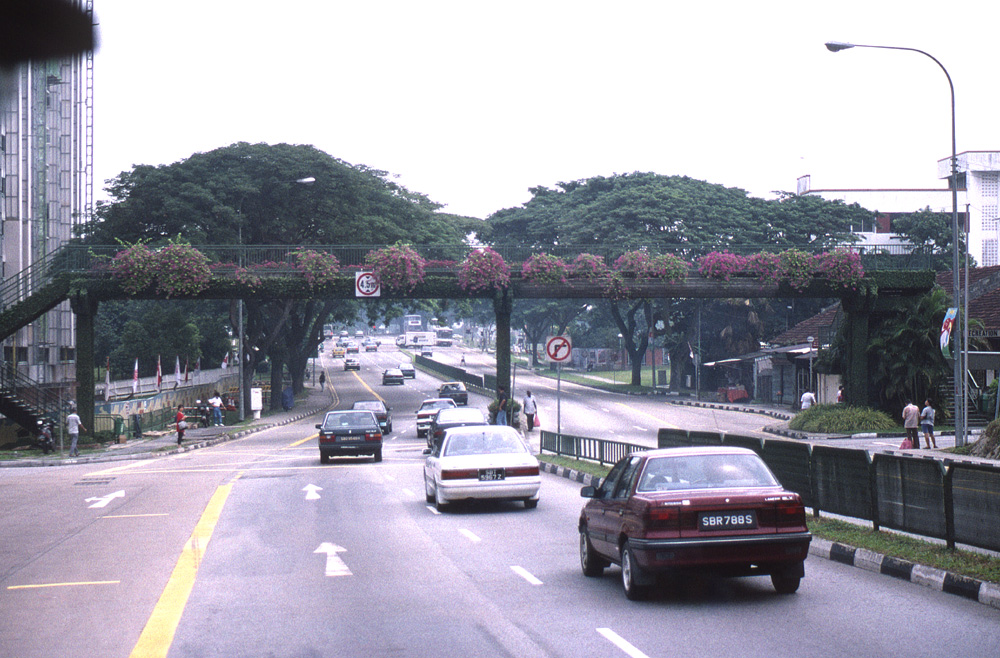 シンガポール 並木と歩道橋