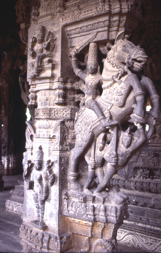 インド ヴァラダラージャ寺院