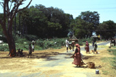 マドゥライ近郊の道路 / マドゥライ / 土木施設−道路
