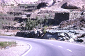 ハジャラ北東 / ハジャラ / 土木施設−道路