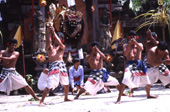 伝統芸能 / インドネシア / バリ島