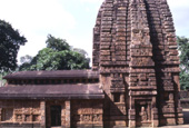 パラシュラーメシュワラ寺院 / インド / ブバネーシュワル