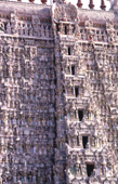 ミーナークシー寺院 / インド / マドゥライ