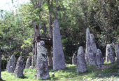 ボリの石柱群 / インドネシア / タナ・トラジャ