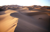 峡谷、砂漠、動物、衣裳 / モロッコ / シェビ大砂丘