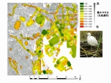 平成24年度 環境賞IIグループ都市インフラの緑化による生態系ネットワーク効果を可視化する「UE-Net®」の開発と実用化　東京臨海地域におけるコサギの生息適地ネットワーク評価