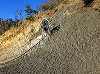 平成28年年度環境賞Iグループ  <br>木片コンクリートによる斜面の緑化対策技術の研究
