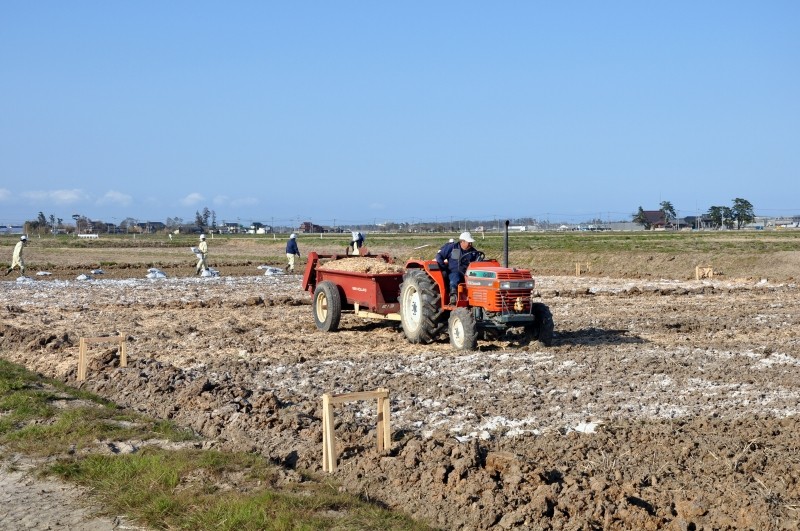 木材チップ塩成土壌改良工法による東日本大震災塩害農地再生プロジェクト
